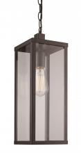 Trans Globe 40757 BK - 1LT HANGING LANTERN-DOWN-MED-B